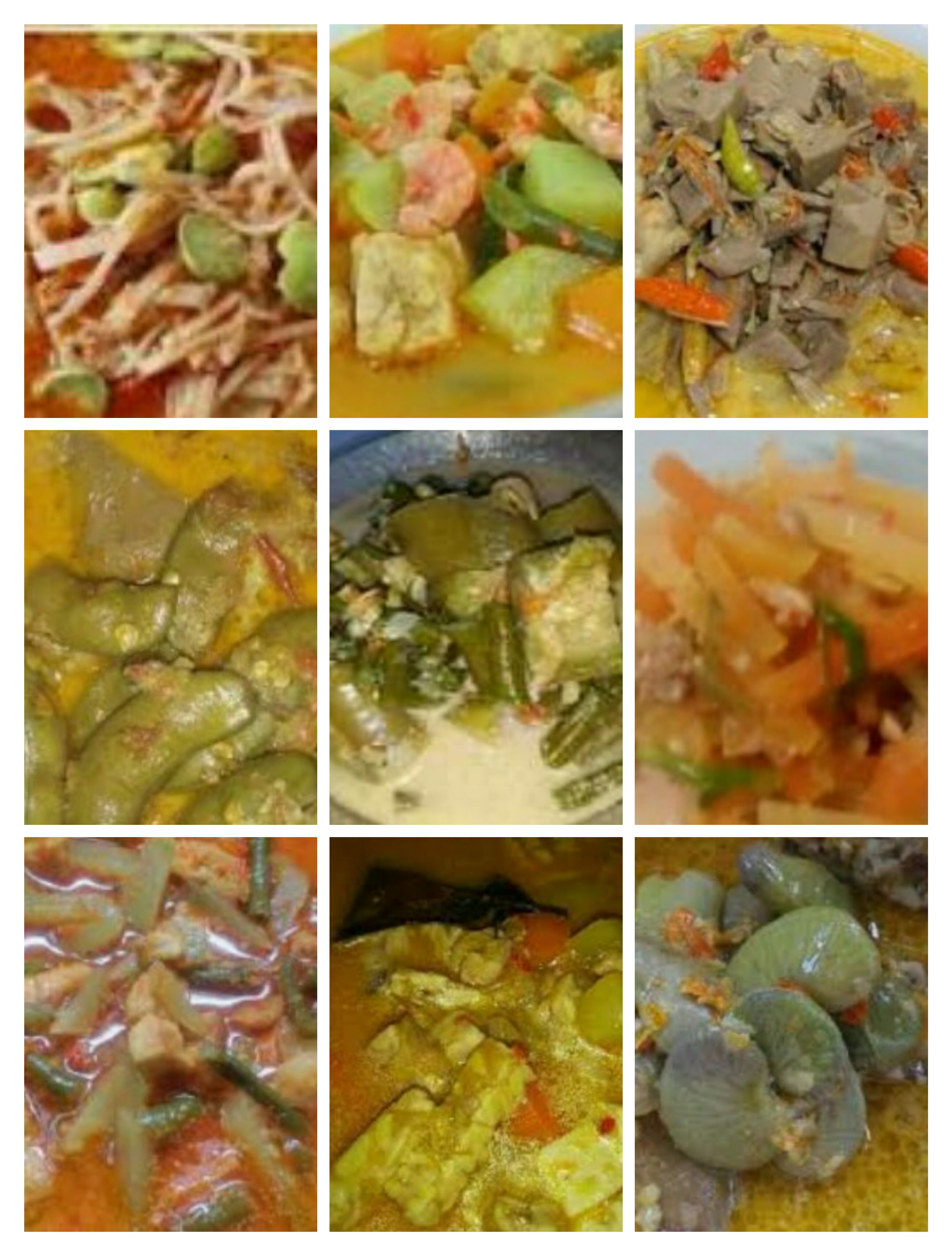 Sayur lodeh