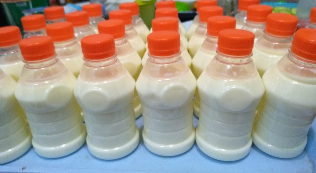 Susu Sapi Segar Murni