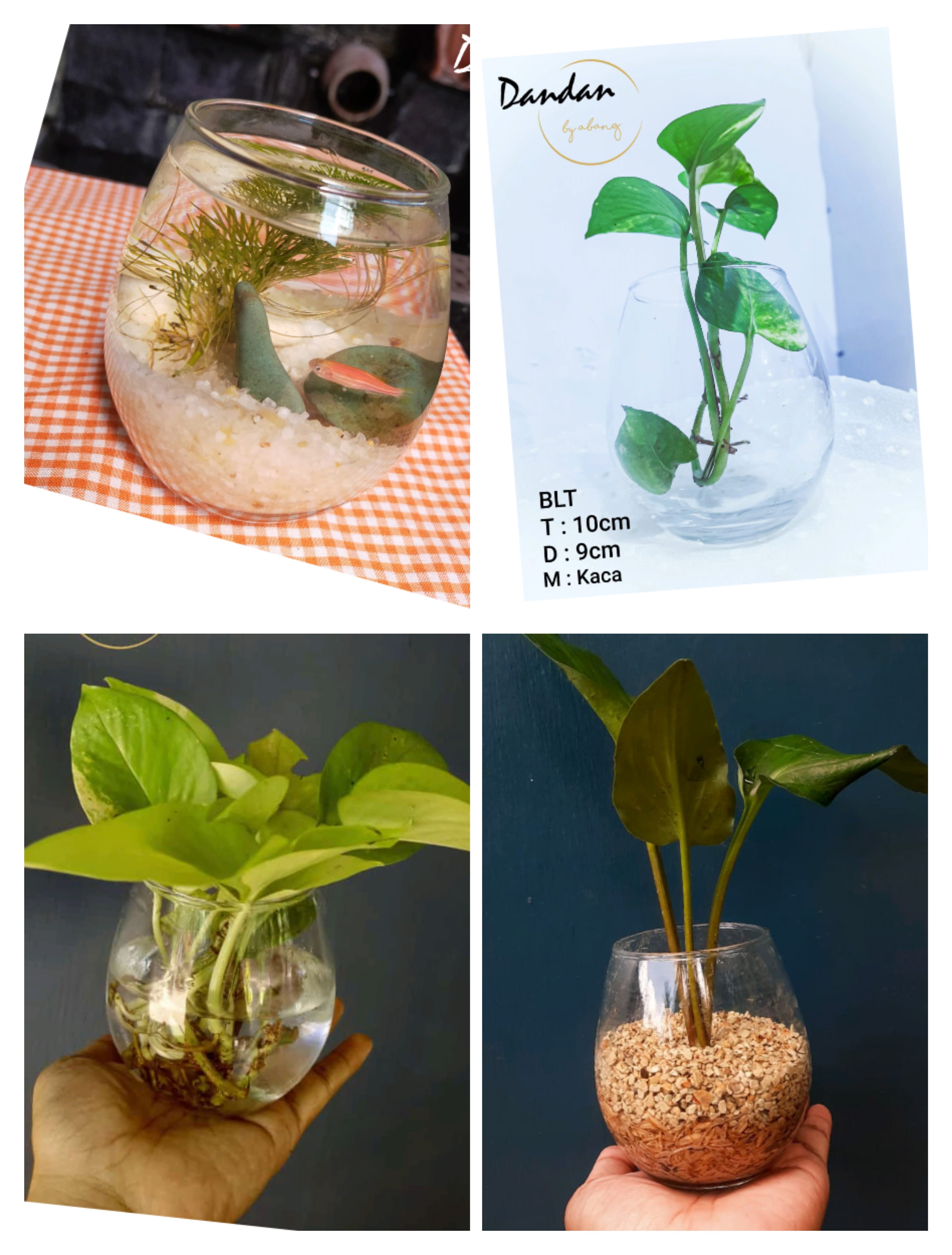 Vas Gelas - Kaca BLT