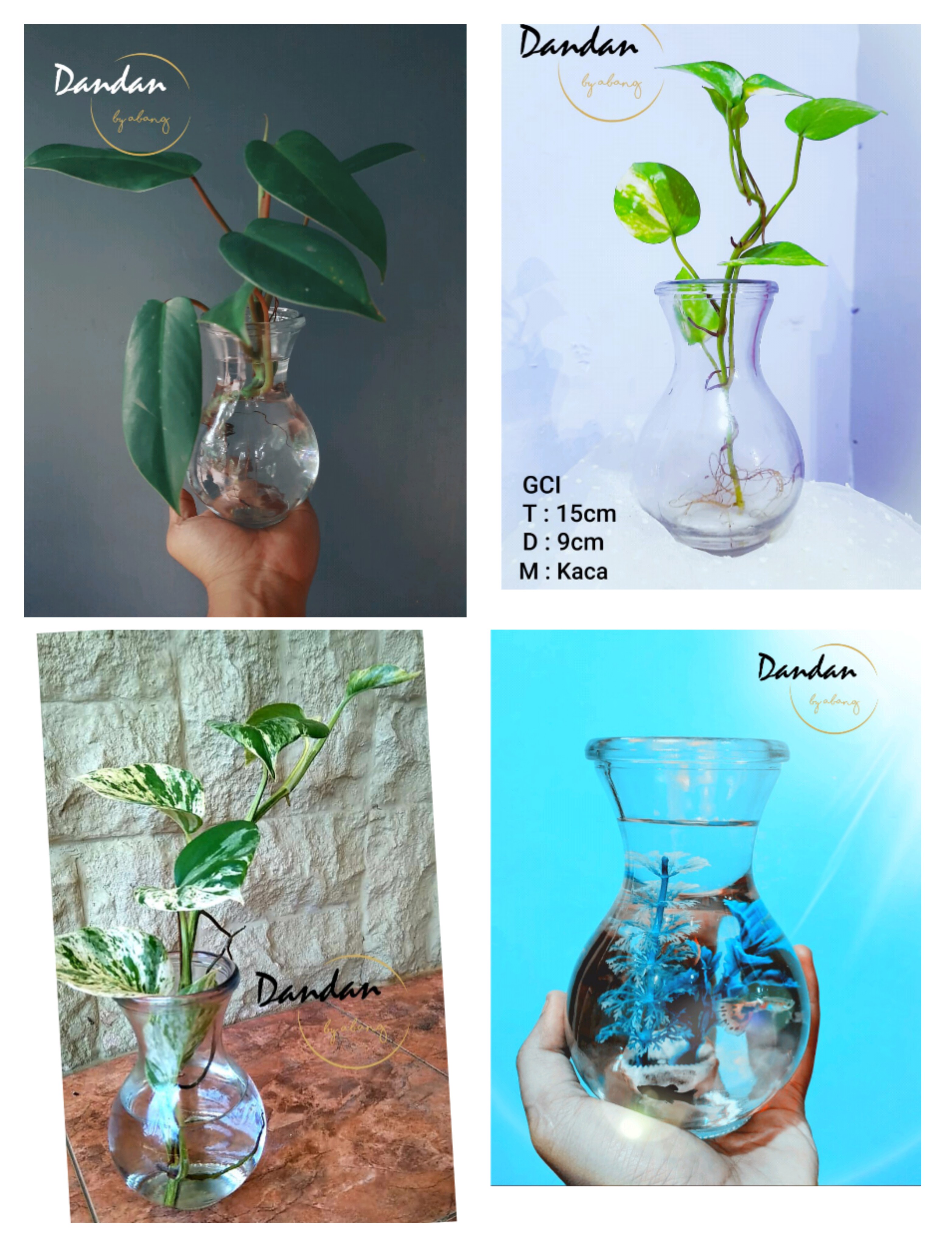 Vas Gelas - kaca GCI