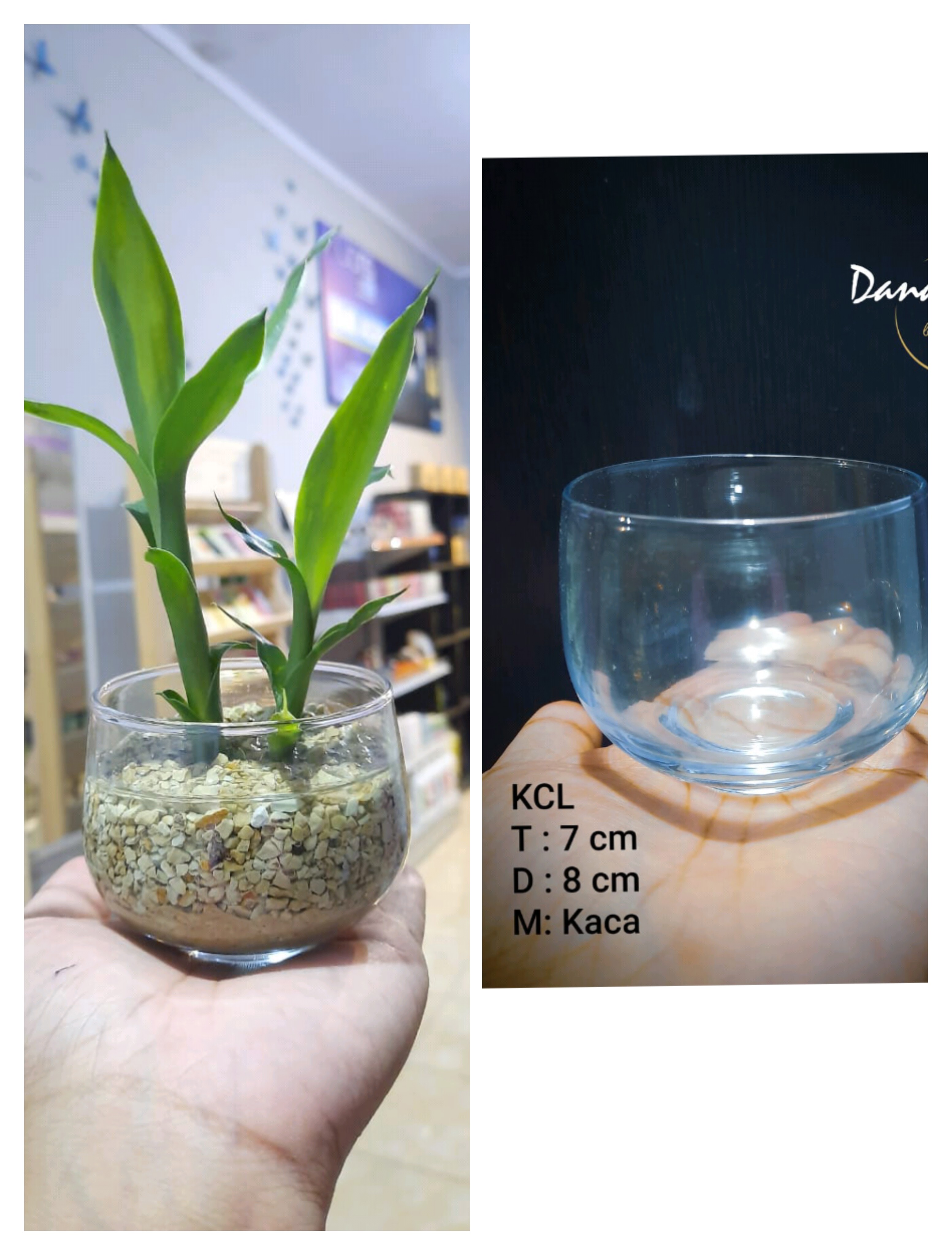 Vas Gelas - Kaca KCL