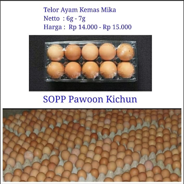 Veve cell - telor 500g ( isi 8 - 9 butir )