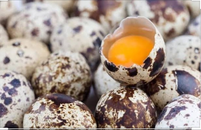 Veve cell - Telor Poyoh 260g ( isi 20 - 25 butir )